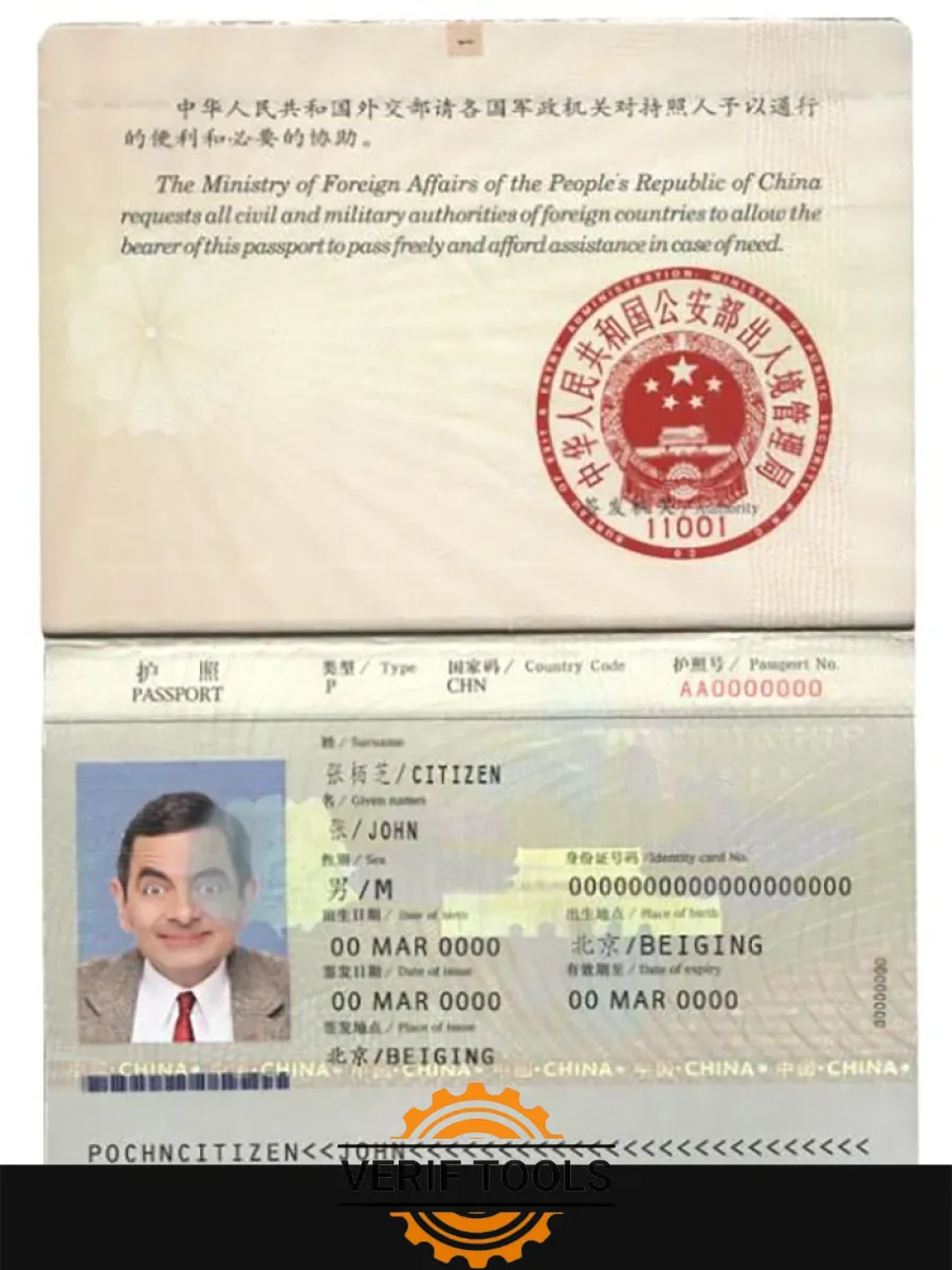 China Pass 2007 2009 — Passports