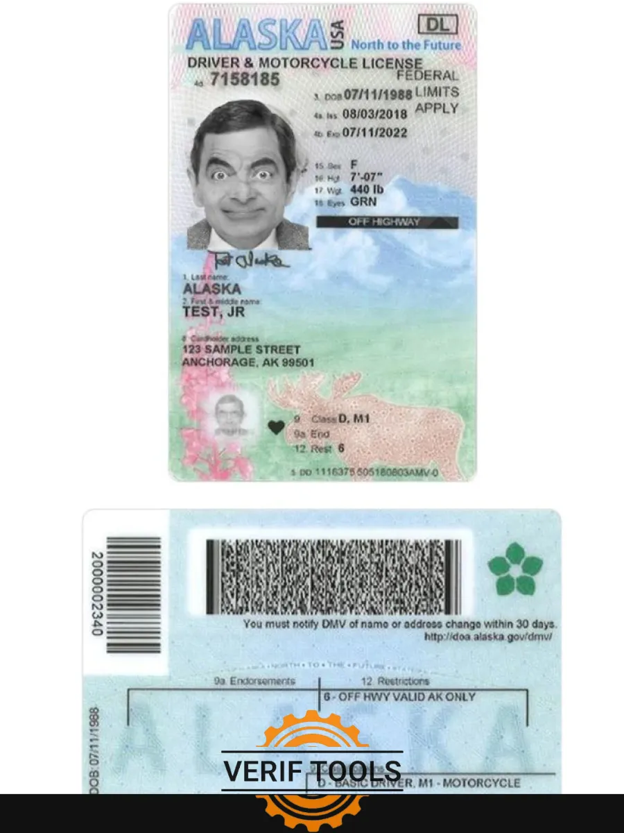 Usa Alaska Under 21 Driving License — Driver License