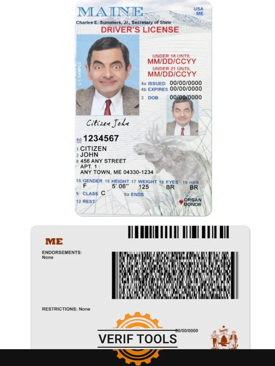 Usa Maine Driving License Under 21 — Driver License