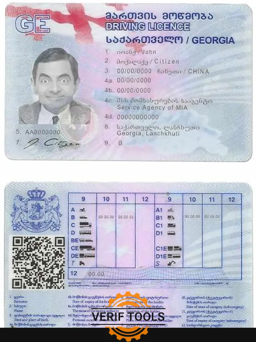 Georgia Driving License — Driver License