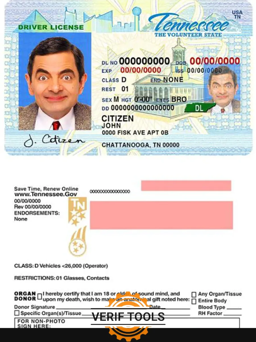 Usa Tennessee Driving License — Driver License