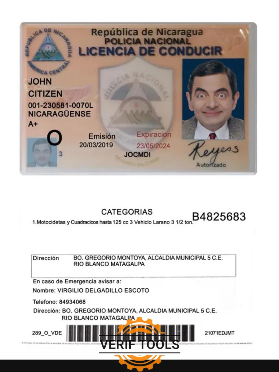 Nicaragua Driving License 2019 Present — Driver License