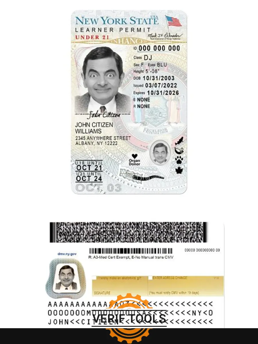 Usa New York Driving License Under 21 Version 2 — Driver License