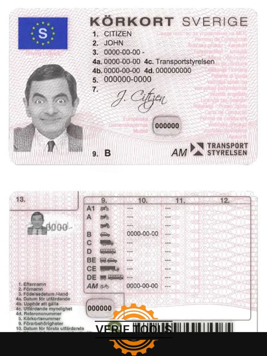 Sweden Dl 2009 2016 — Driver License