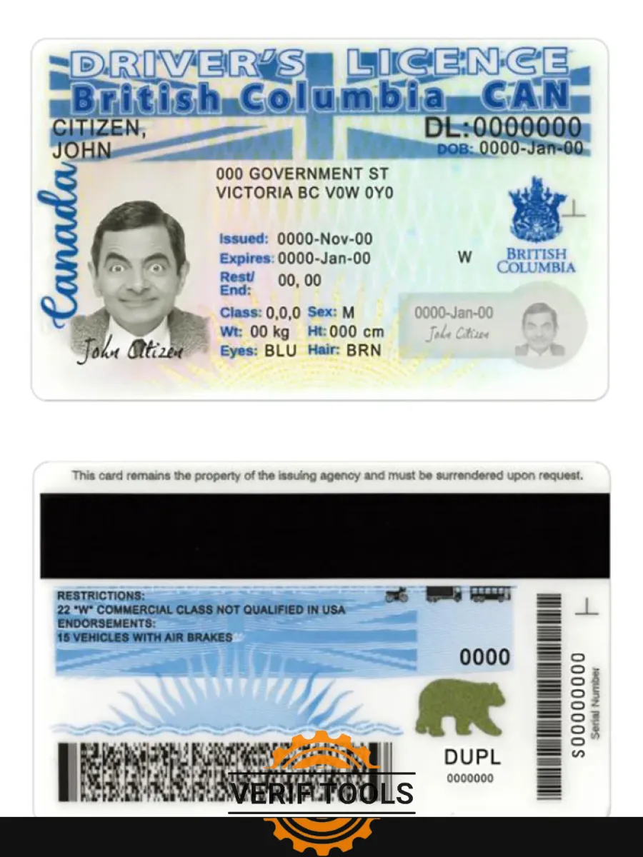 Canada British Columbia Driving License New Version Scr — Driver License