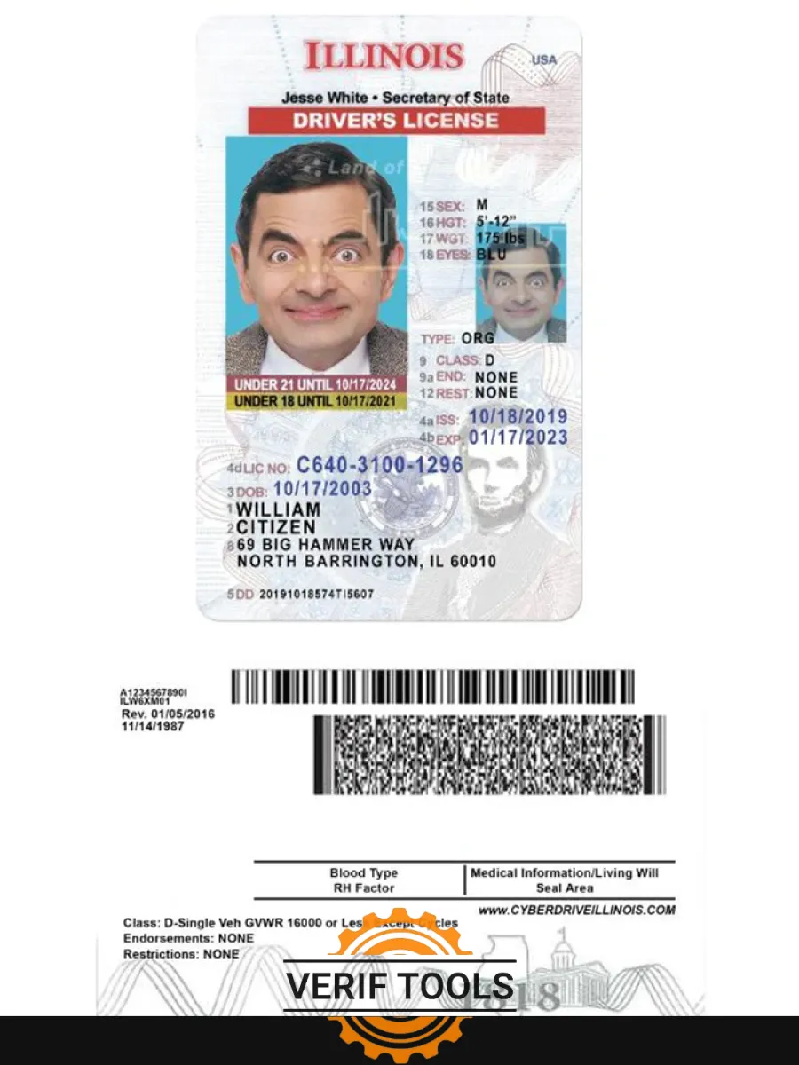 Usa Illinois Driving License Under 21 — Driver License