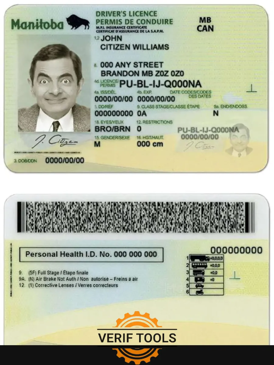 Canada Manitoba Province Driving License — Driver License