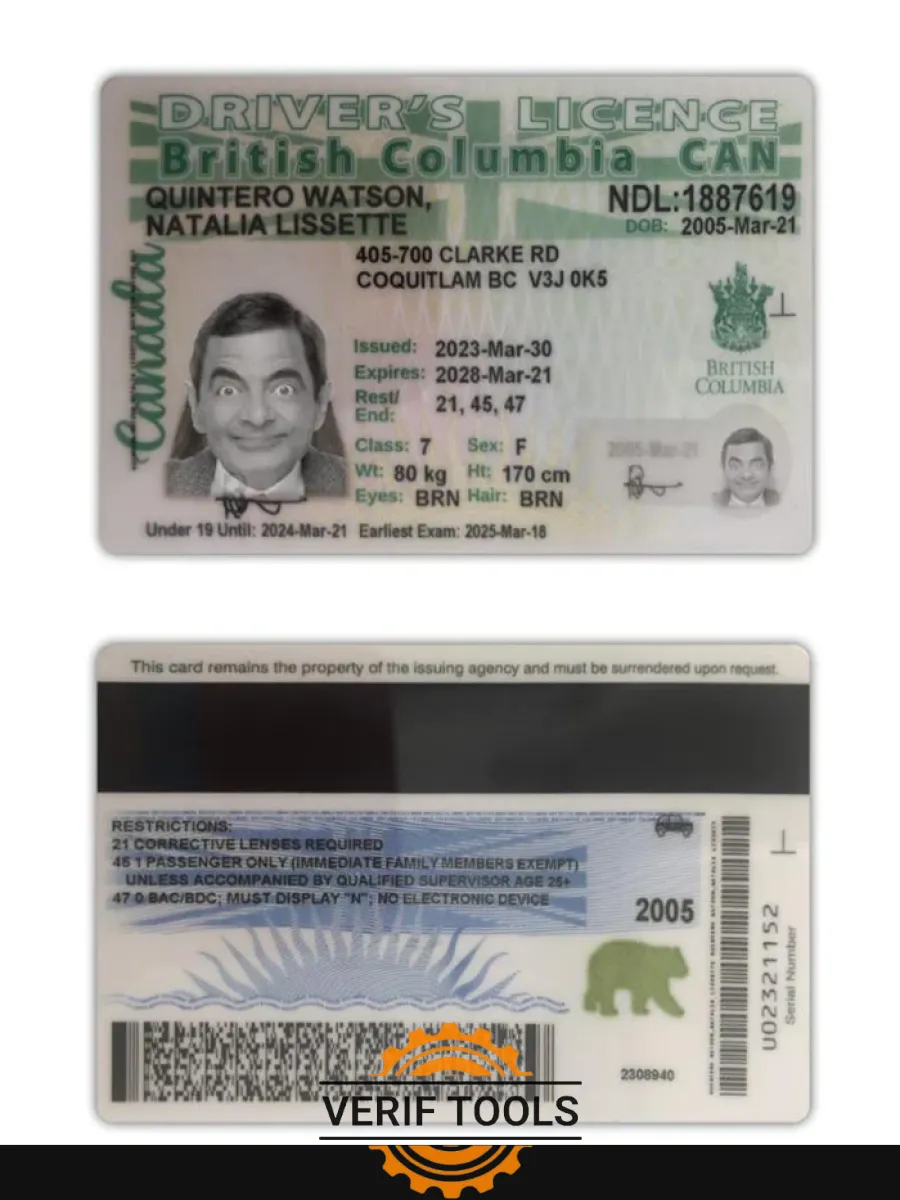 Canada British Columbia Driving License 2021 Present — Driver License