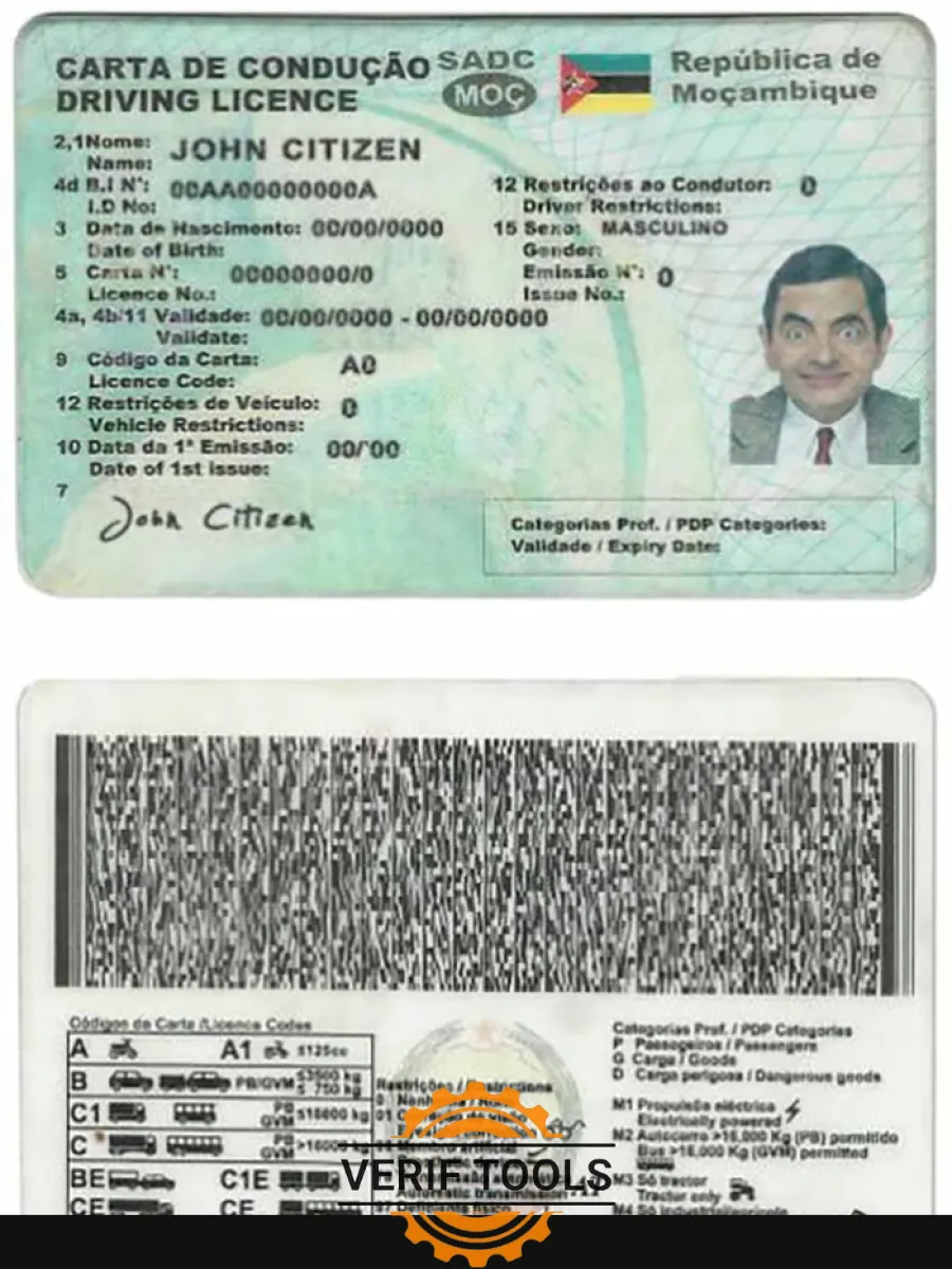 Mozambique Driving License — Driver License
