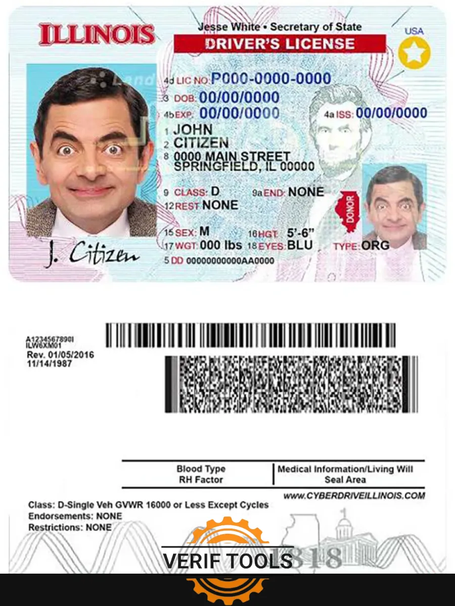 Usa Illinois Driving License — Driver License