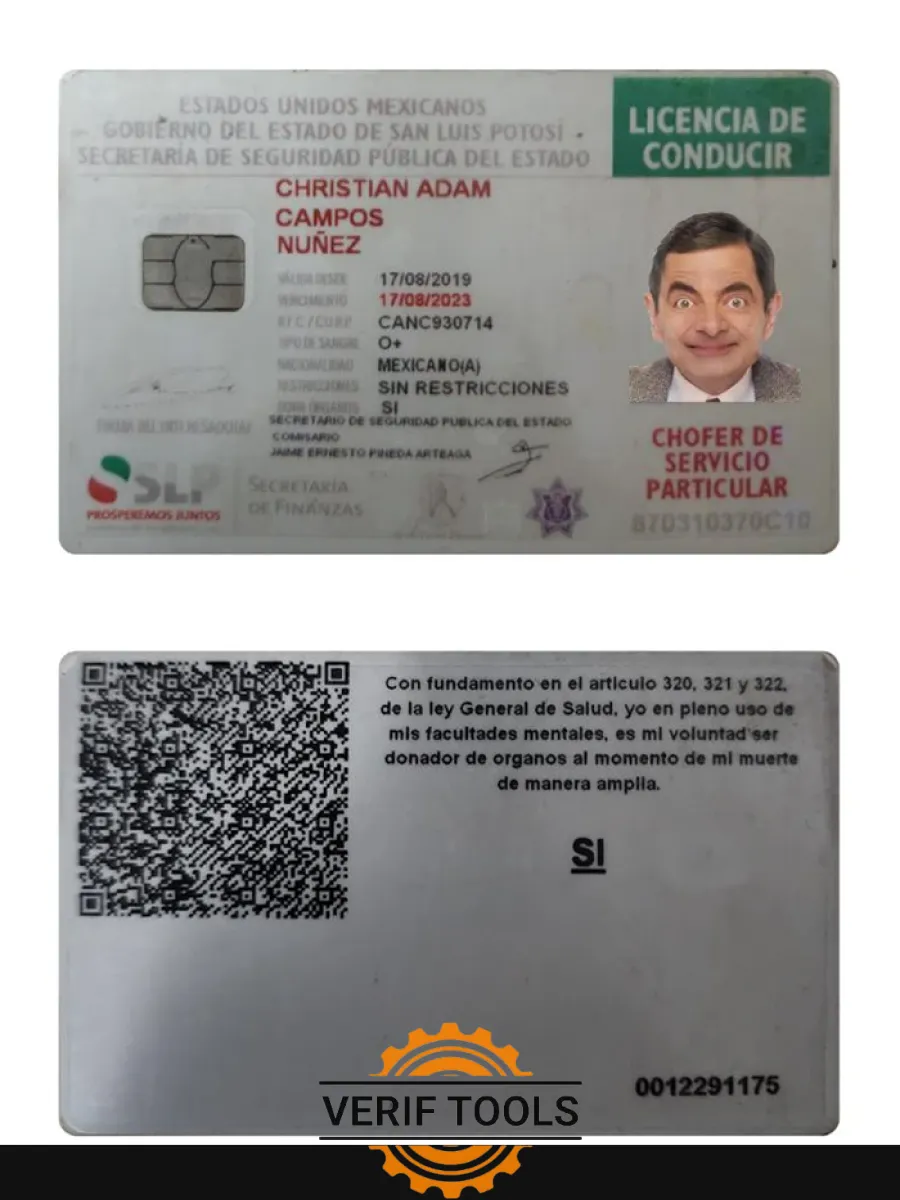 Mexico Driving License 2019 Present — Driver License