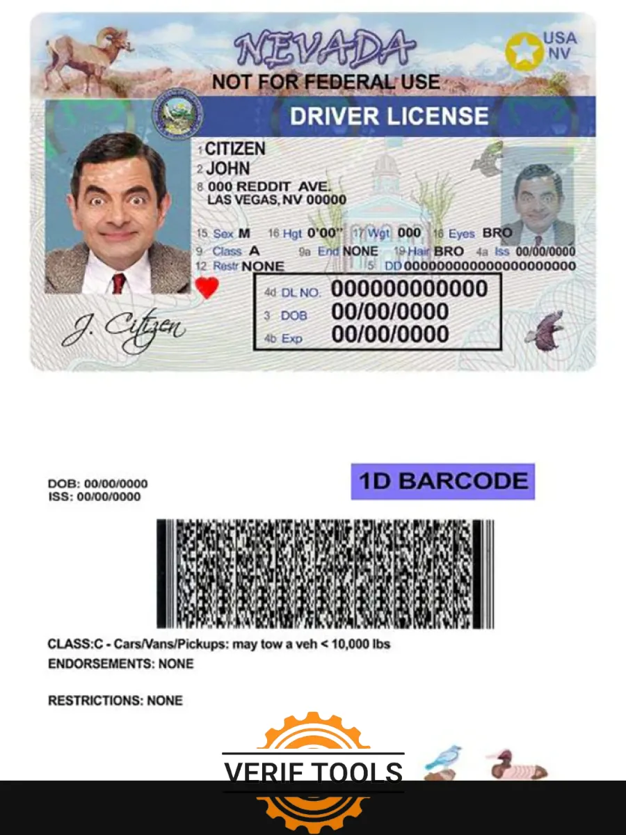 Usa Nevada Driving License — Driver License
