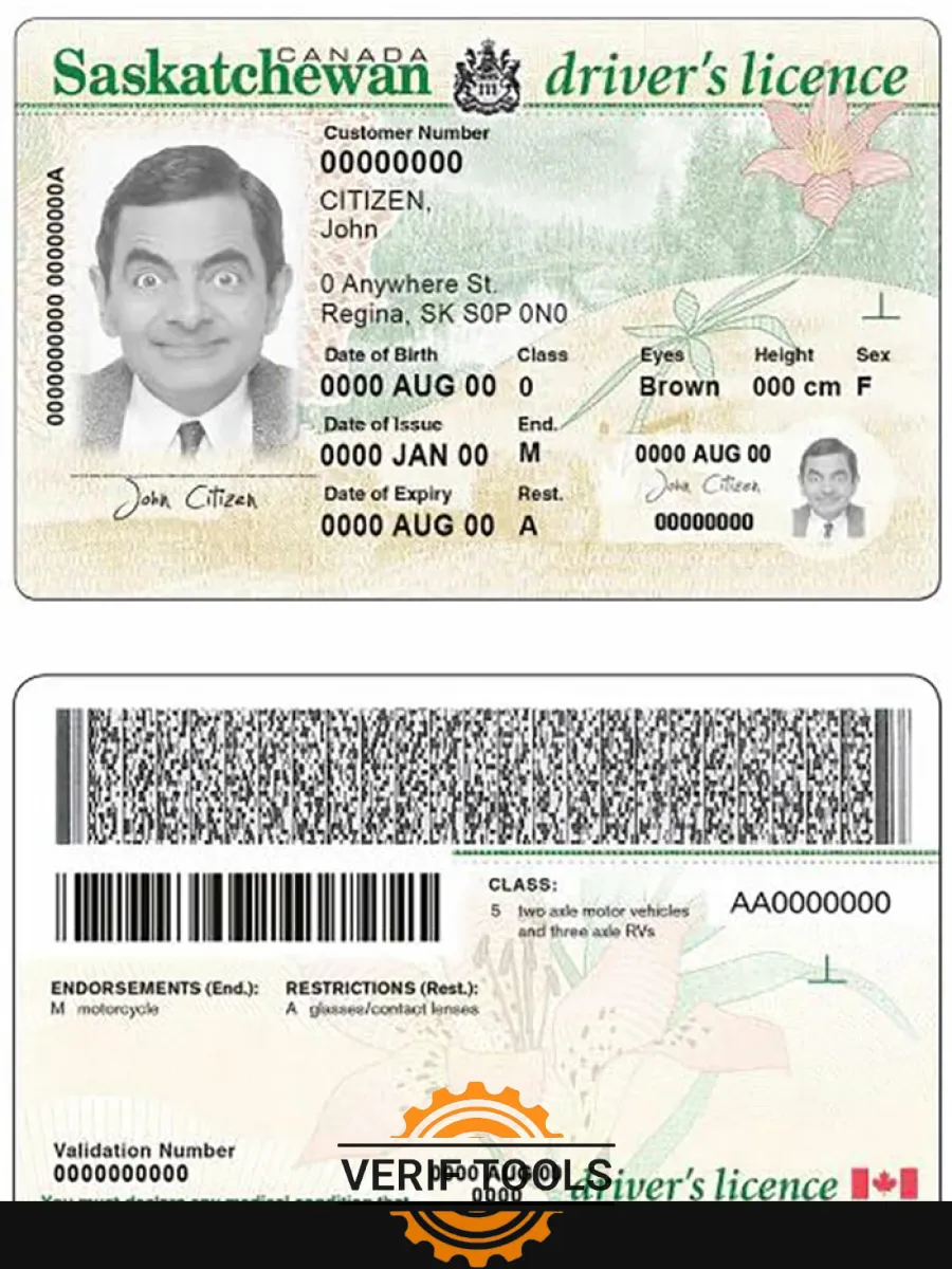 Canada Province Saskatchewan Driving License — Driver License