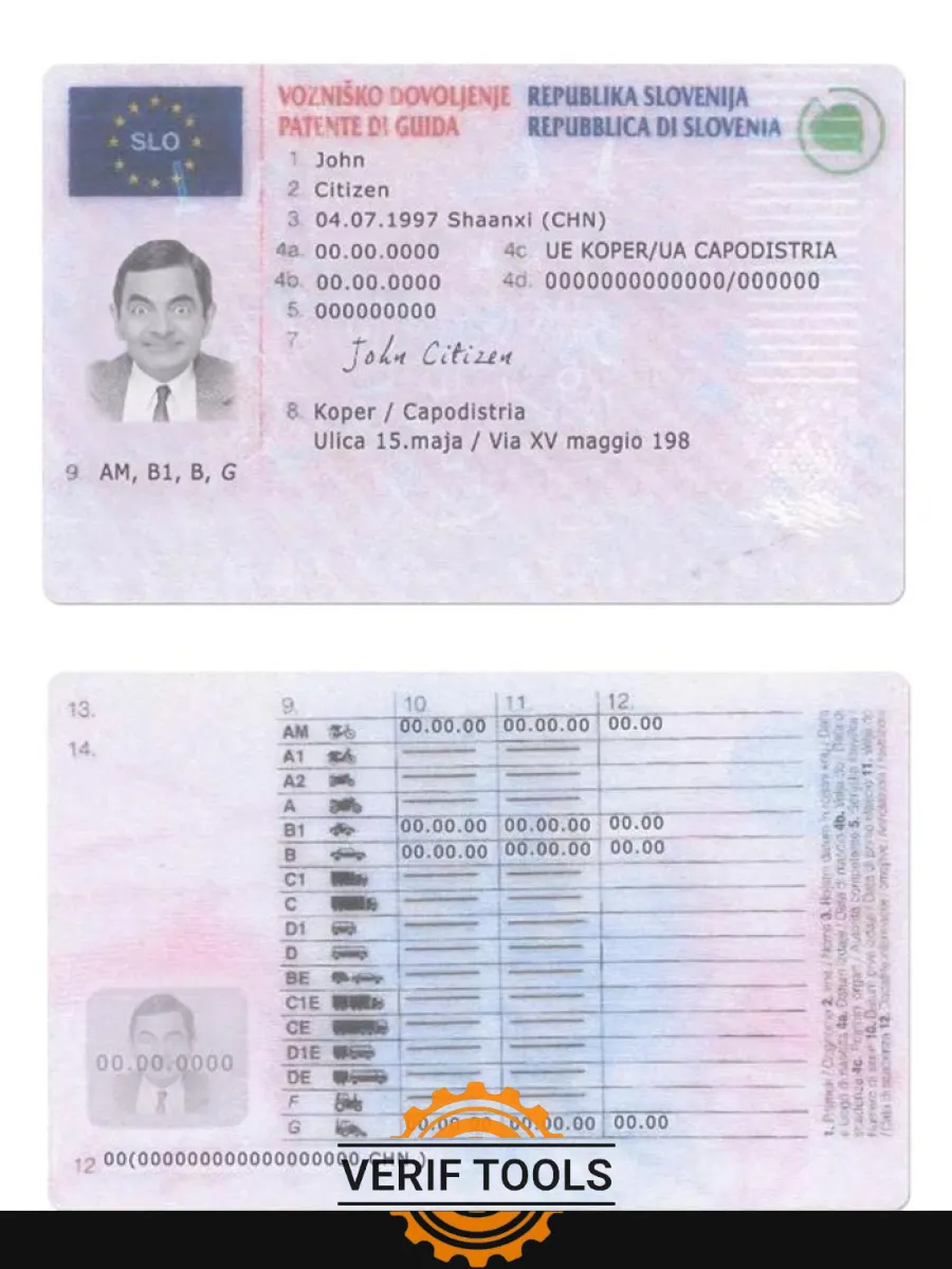 Slovenia Driving License — Driver License
