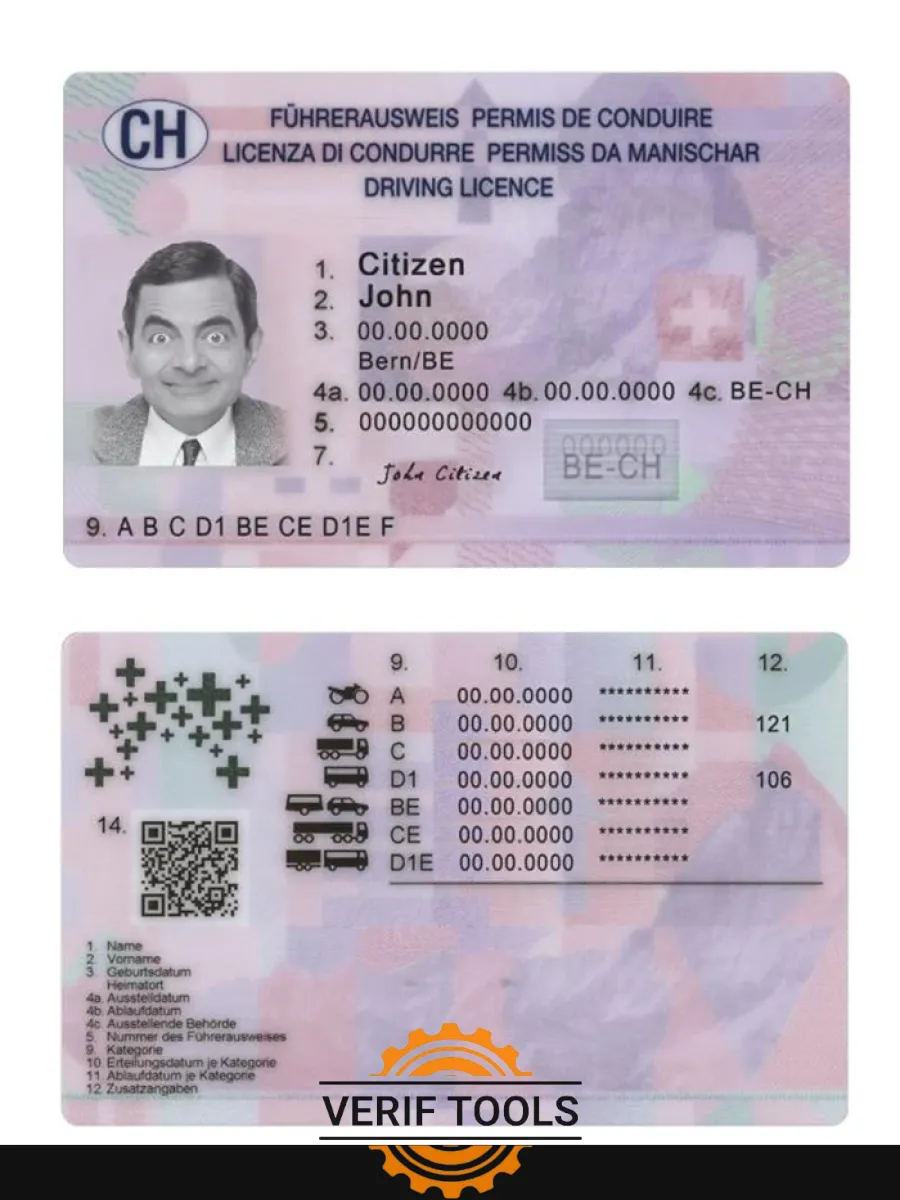 Switzerland Driving License 2023 Present — Driver License