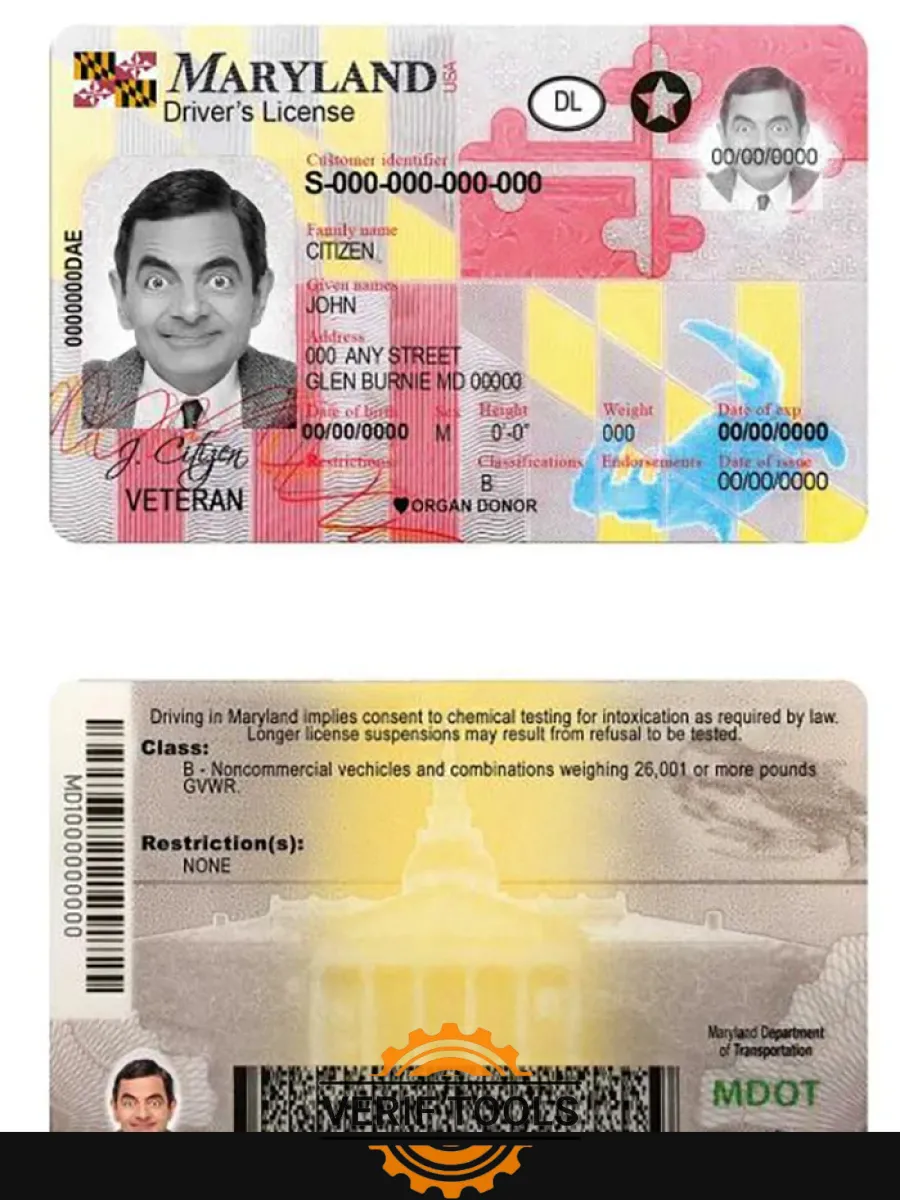Usa Maryland Driving License — Driver License