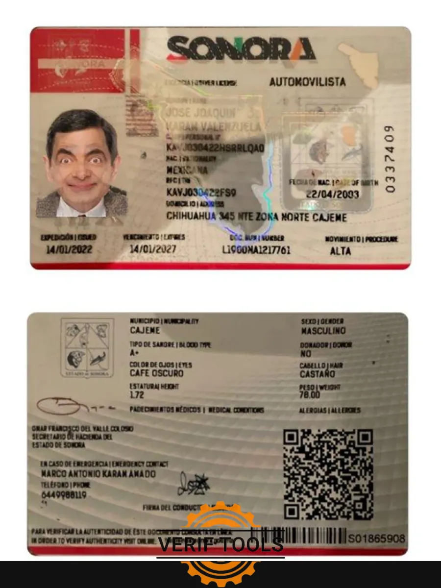 Mexico Sonora State Driving License — Driver License