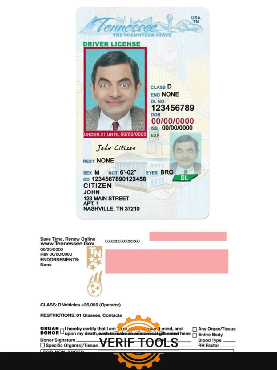 Usa Tennessee Driving License Under 21 — Driver License