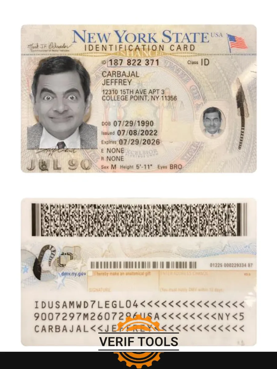 Usa New York Id Card 2022 Present — ID Cards
