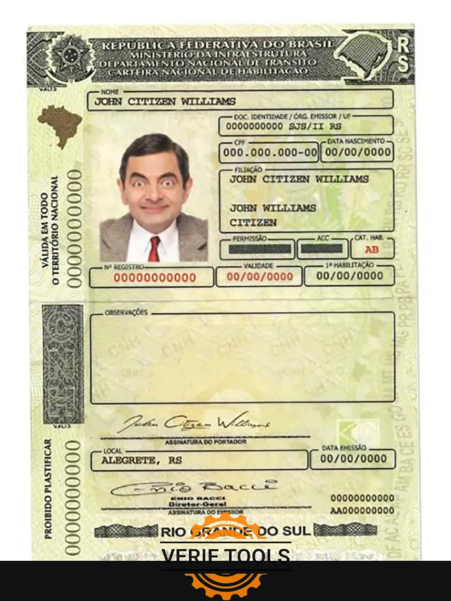 Brazilriograndedosuldriving License — Driver License