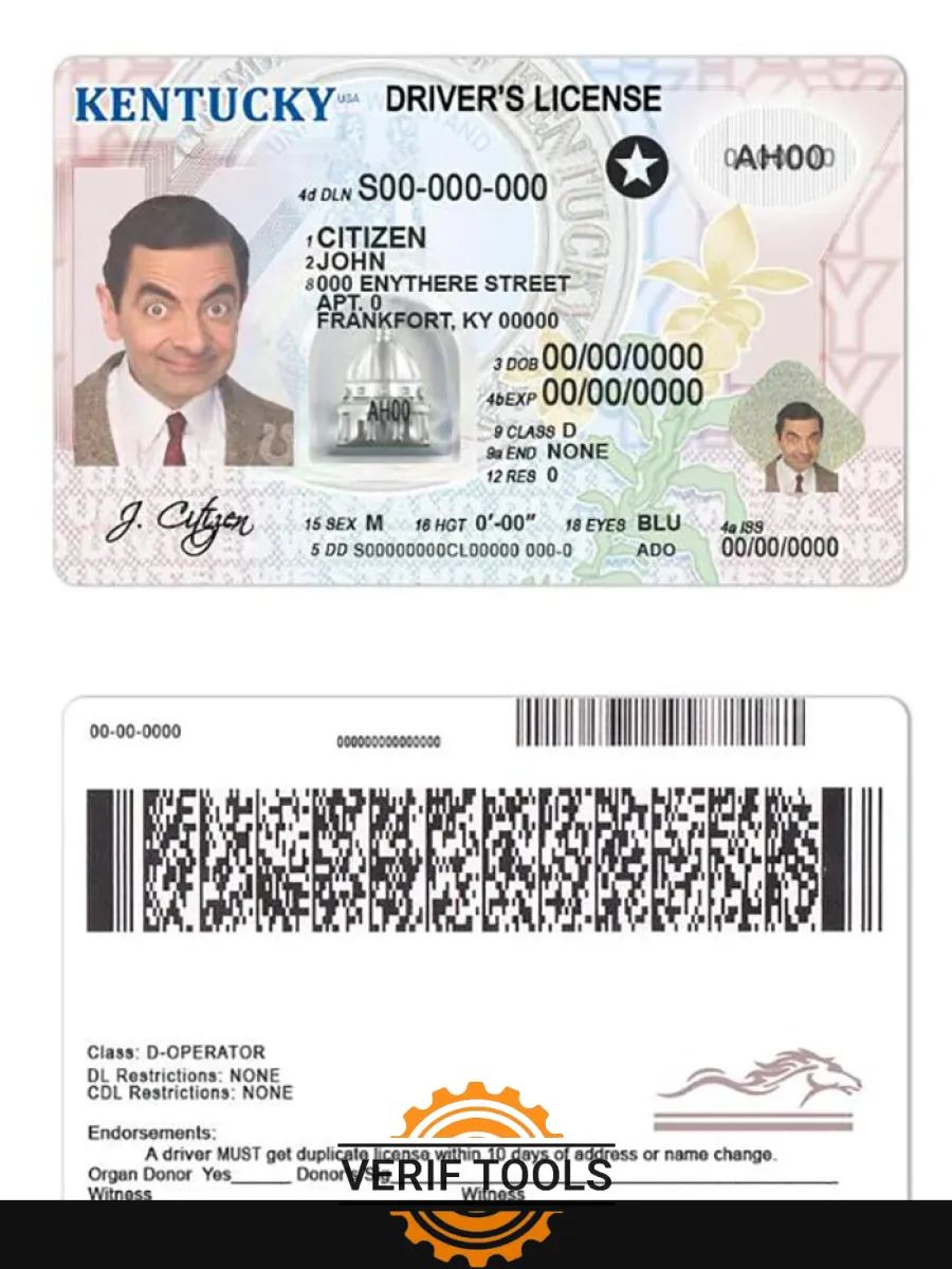 Usa Kentucky Driving License — Driver License