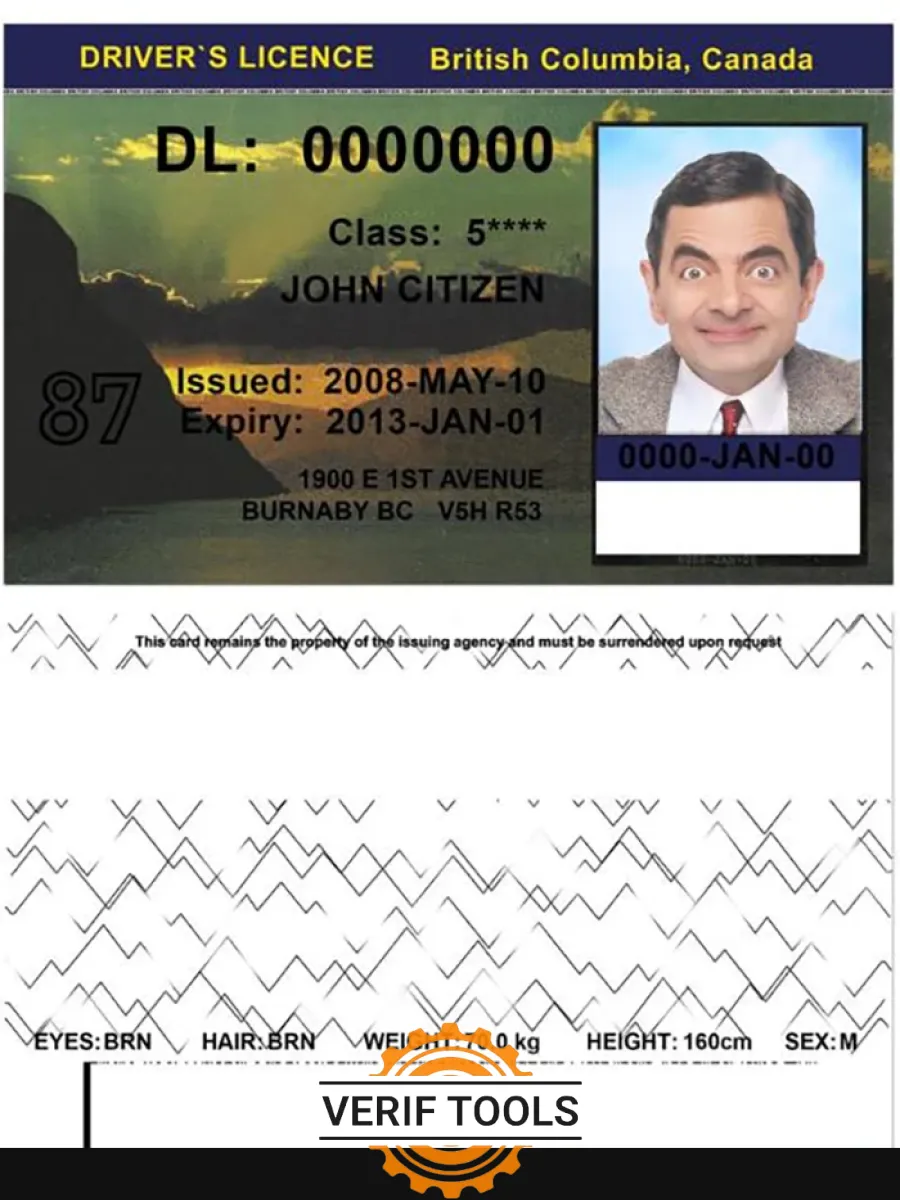 Canada British Columbia Dl — Driver License
