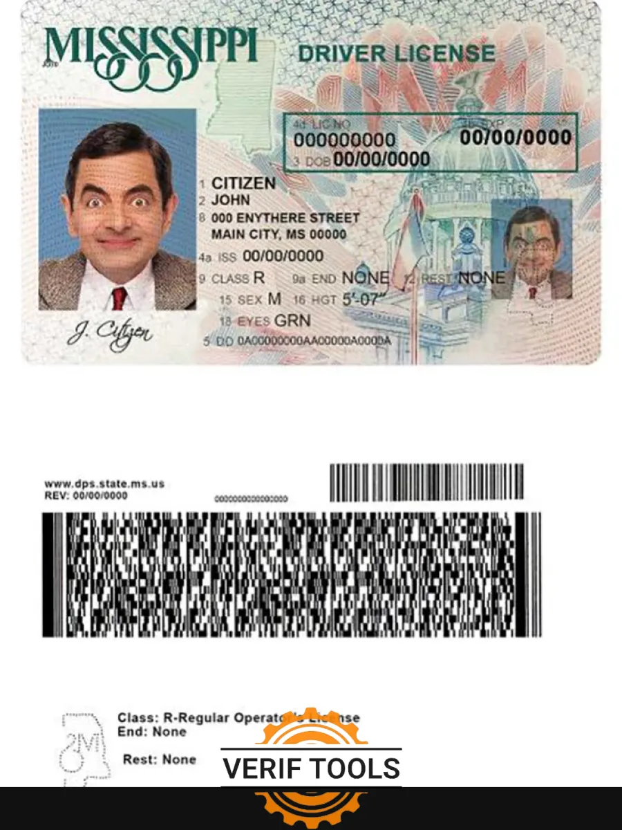 Usa Mississippi Driving License — Driver License