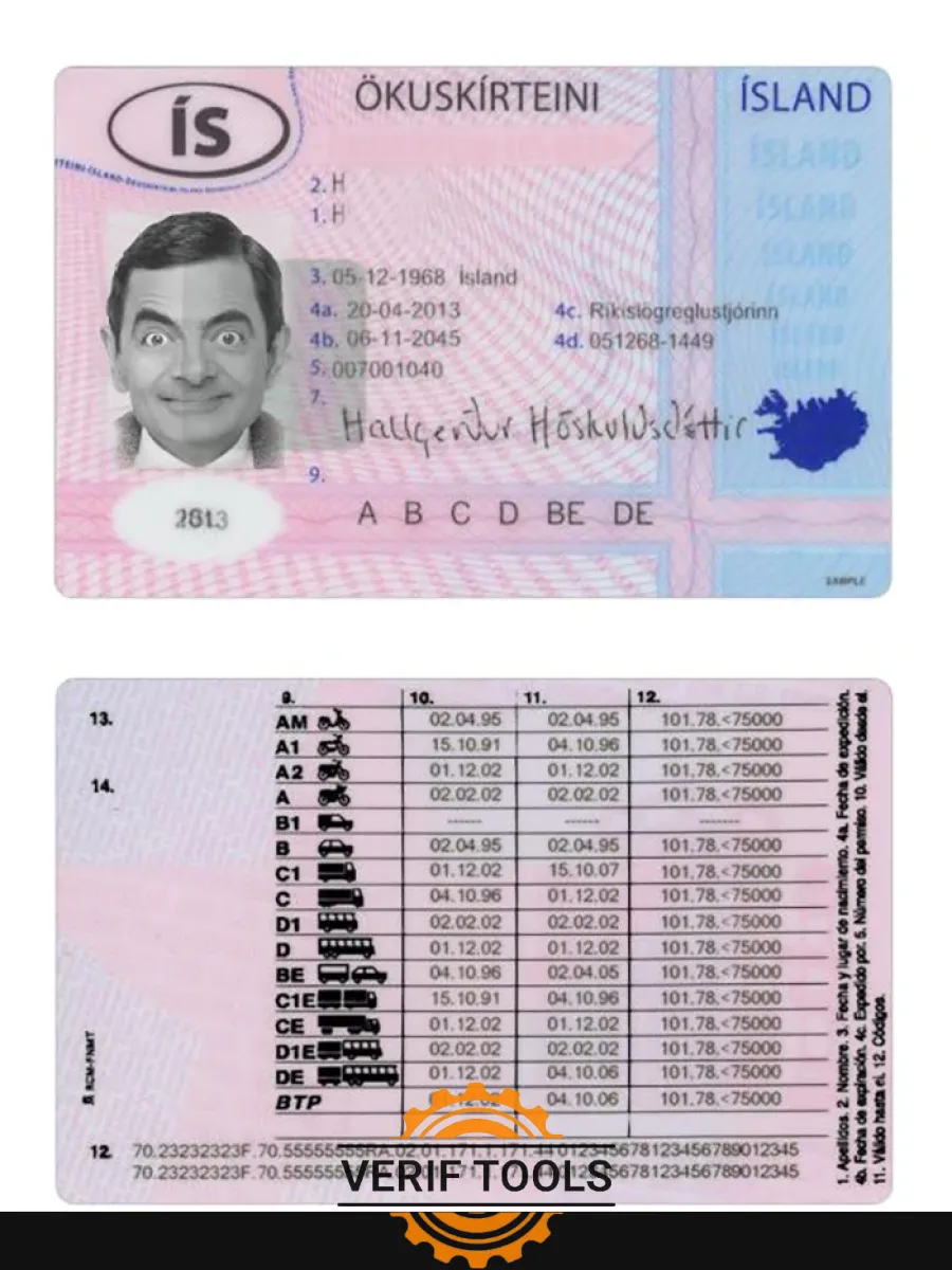 Iceland Driving License 2013 Present — Driver License